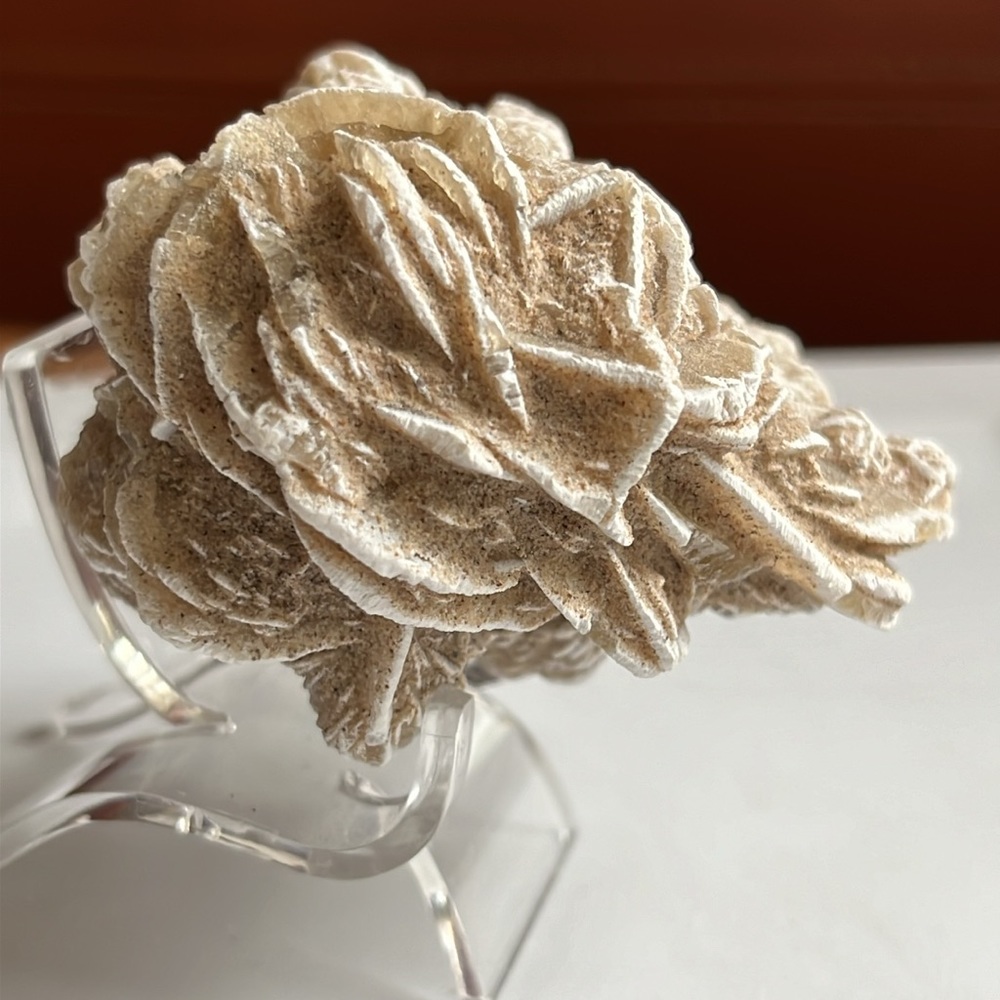 Genuine Desert Rose Cluster Specimen